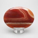 Carnelian Palmstone (Extra Grade) ~70x50mm