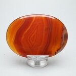 Carnelian Palmstone (Extra Grade) ~70x50mm