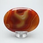 Carnelian Palmstone (Extra Grade) ~70x50mm
