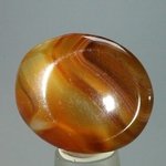 Carnelian Thumbstone (Extra Grade) ~40 x 30 mm