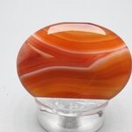 Carnelian Thumbstone(Extra Grade) ~40x30mm