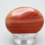 Carnelian Thumbstone(Extra Grade) ~40x30mm