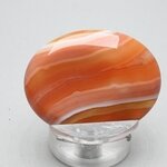 Carnelian Thumbstone(Extra Grade) ~40x30mm