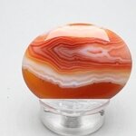 Carnelian Thumbstone(Extra Grade) ~40x30mm