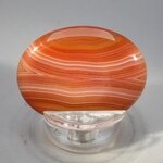 Carnelian Thumbstone(Extra Grade) ~40x30mm