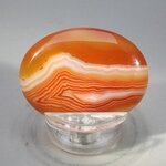 Carnelian Thumbstone(Extra Grade) ~40x30mm
