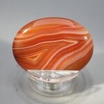 Carnelian Thumbstone(Extra Grade) ~40x30mm