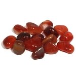 Carnelian Tumble Stone (Brazilian) (15-20mm)