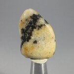 Cassiterite in Quartz Tumblestone ~32mm