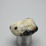 Cassiterite in Quartz Tumblestone ~33mm