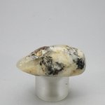 Cassiterite in Quartz Tumblestone ~37mm