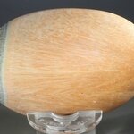 Celestobarite Palmstone (Extra Grade) ~70x50mm