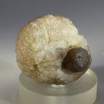 Chalcedony Womb Stone ~33mm