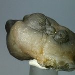 Chalcedony Womb Stone ~52mm
