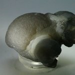 Chalcedony Womb Stone ~48mm