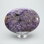 Charoite Palmstone (Extra Grade) ~70 x 50 mm