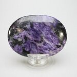 Charoite Palmstone (Extra Grade) ~70x50mm