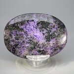 Charoite Palmstone (Extra Grade) ~70x50mm