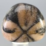 Chiastolite Tumblestone ~24mm