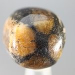 Chiastolite Tumblestone ~24mm