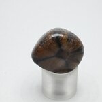 Chiastolite Polished Stone ~24mm