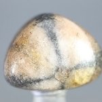 Chiastolite Tumblestone ~25mm