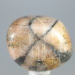 Chiastolite Tumblestone ~25mm