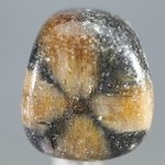 Chiastolite Tumblestone ~28mm