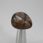 Chiastolite Tumblestone ~25mm