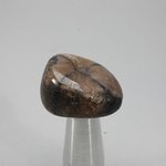 Chiastolite Tumblestone ~26mm