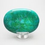 Chrysocolla Howlite Palmstone (Extra Grade) ~70x50mm