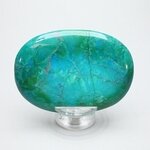 Chrysocolla Howlite Palmstone (Extra Grade) ~70x50mm