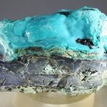 Chrysocolla Mineral Specimen ~66mm
