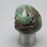 Chrysoprase Tumblestone ~28mm