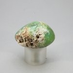 Chrysoprase Tumblestone ~33mm