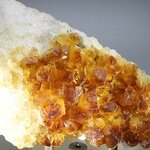 Citrine Cluster ~110mm