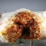 Citrine Cluster ~120mm