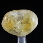 Citrine Tumblestone ~37mm
