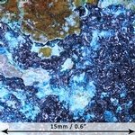 Clinoclase Mineral Specimen ~ 50mm