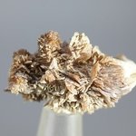 Colemanite Healing Mineral ~26mm