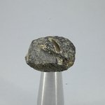 Colombianite Healing Crystal ~23mm