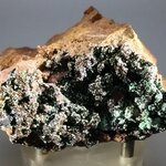Conichalcite Mineral Specimen (Mexican)  ~73mm