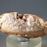 Copper Nugget  ~52mm