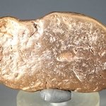 Copper Nugget  ~55mm