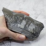 Cotham Marble Polished Slice ~138mm