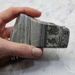 Cotham Marble Polished Slice ~96mm