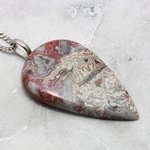 Crazy Lace Agate Gemstone Pendant ~45mm