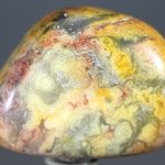 Crazy Lace Agate Tumblestone ~31mm