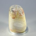 Crazy Lace Agate Tumblestone ~32mm