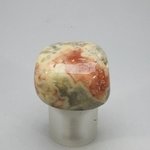 Crazy Lace Agate Tumblestone ~32mm